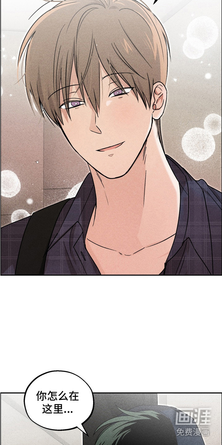 第7话：第7章：玩具项圈预览分镜