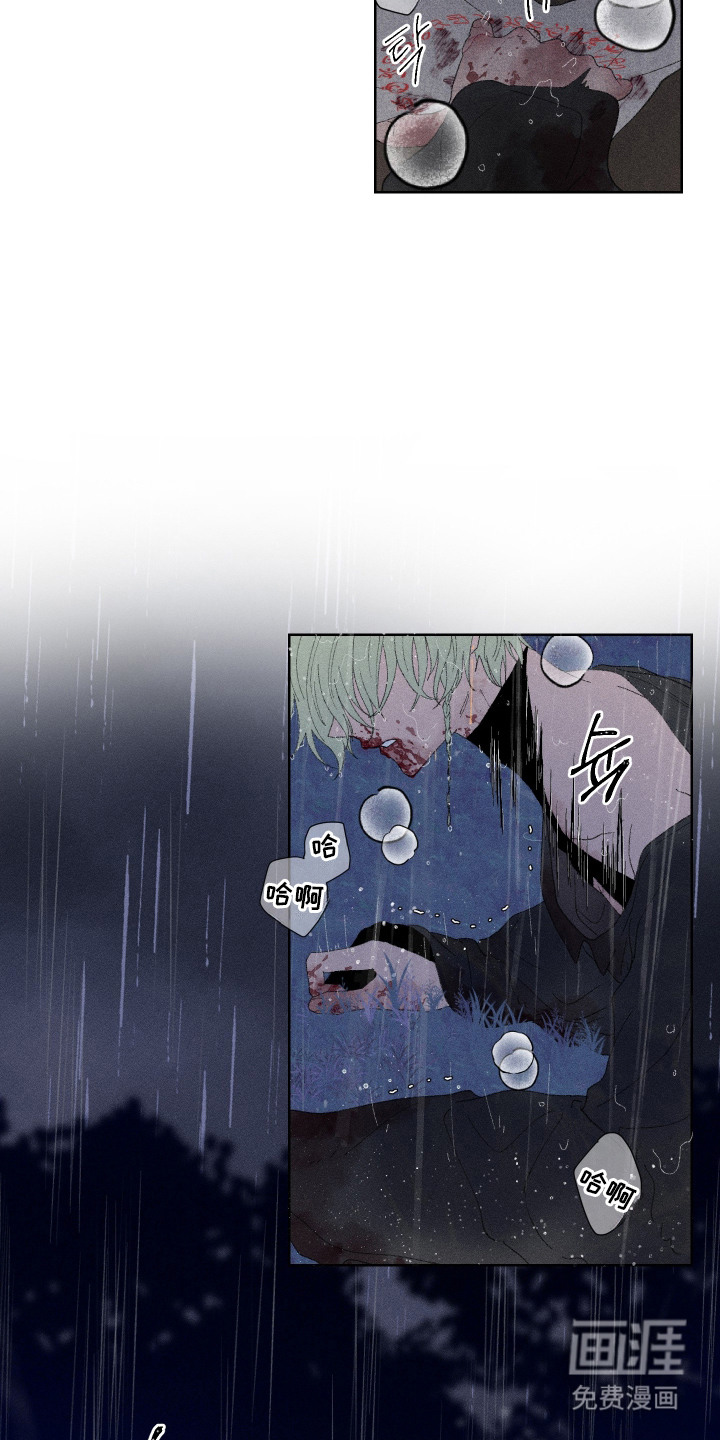 第14话：第14章：令人惋惜预览分镜