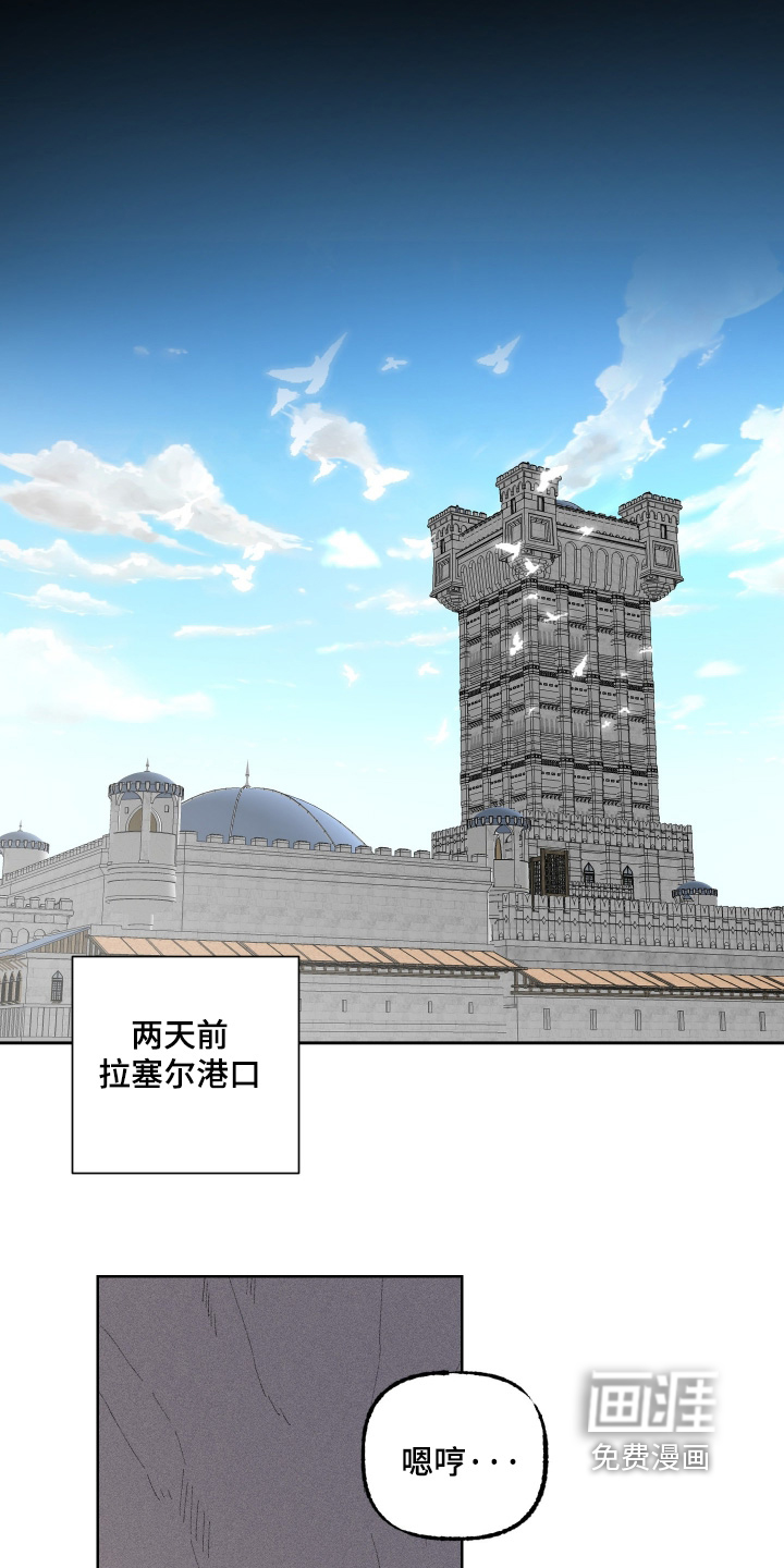 第17话：第17章：别干涉预览分镜