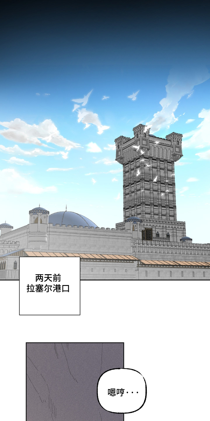 第17话：第17章：别干涉预览分镜