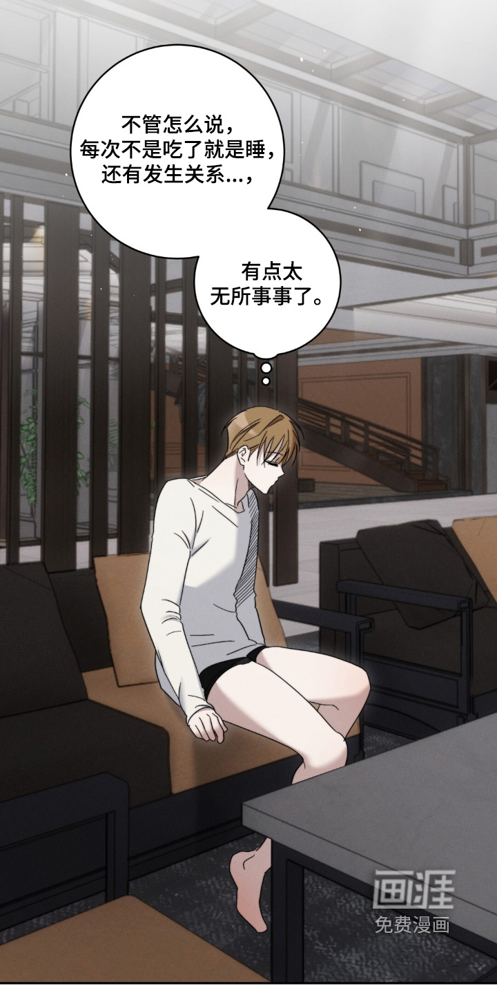 第13话：第13章：不用惊讶预览分镜