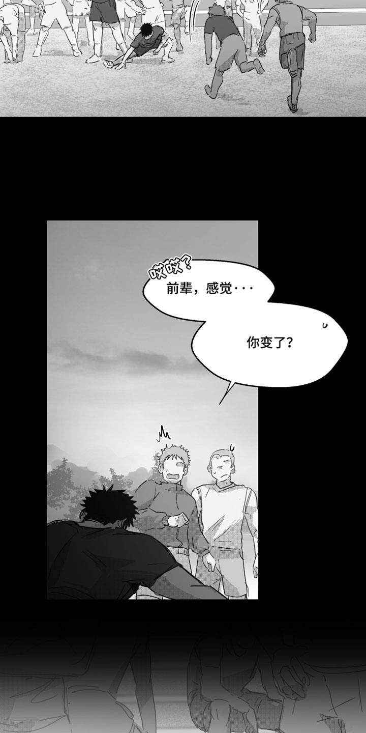 第17话：第17章：有事一定要联系我预览分镜
