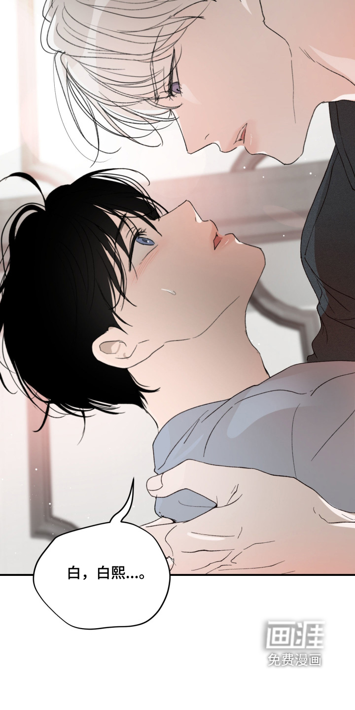 第18话：第18章：受伤预览分镜