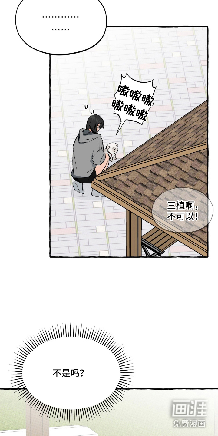 第14话：第14章：不是那样预览分镜