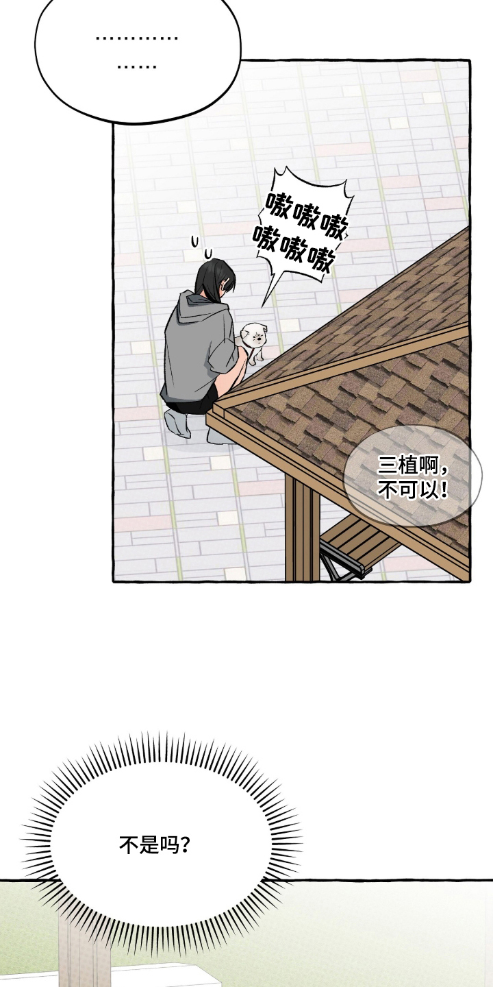 第14话：第14章：不是那样预览分镜