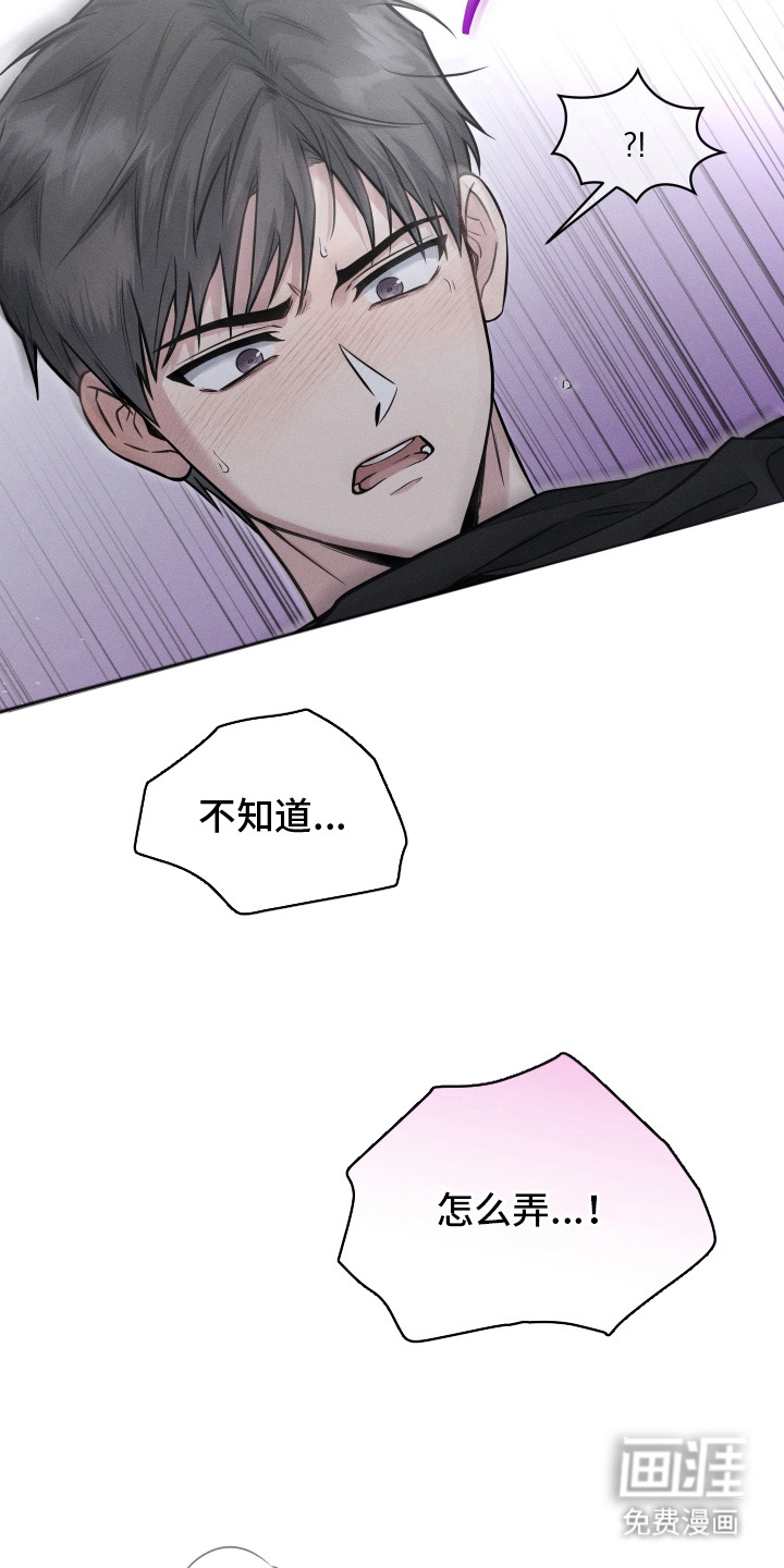 第10话：第10章：喜欢你预览分镜