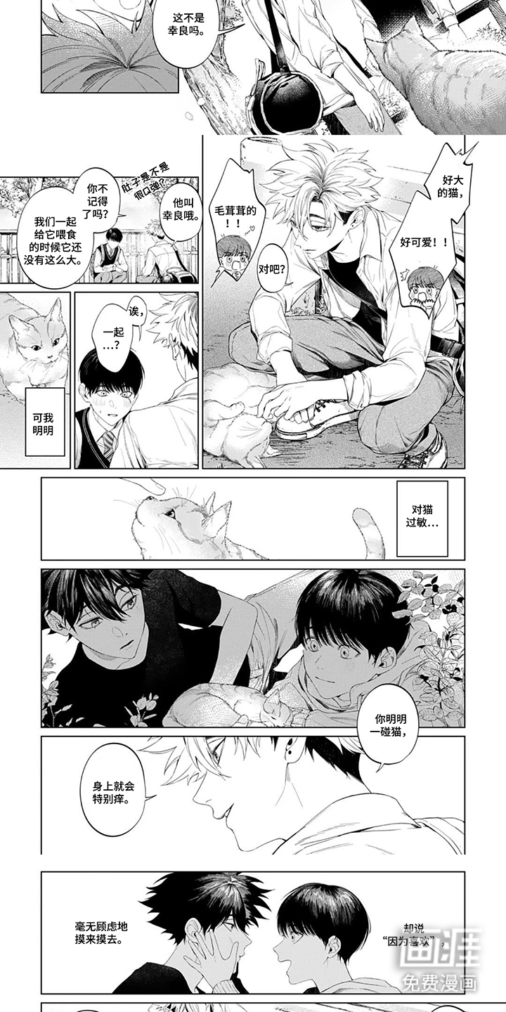 第6话：第6章：脱口而出预览分镜