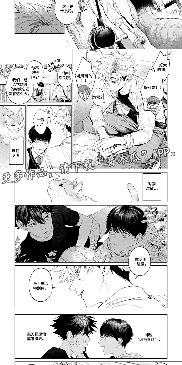 第6话：第6章：脱口而出预览分镜