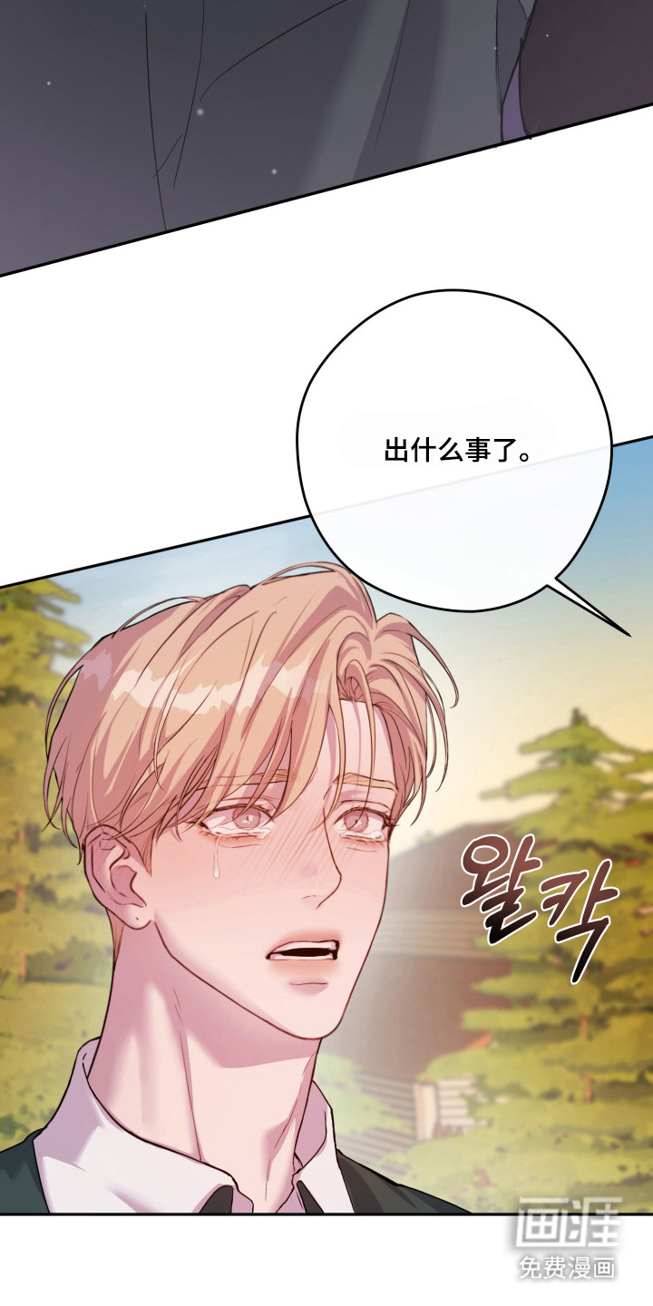 第14话：第14章：喜欢预览分镜