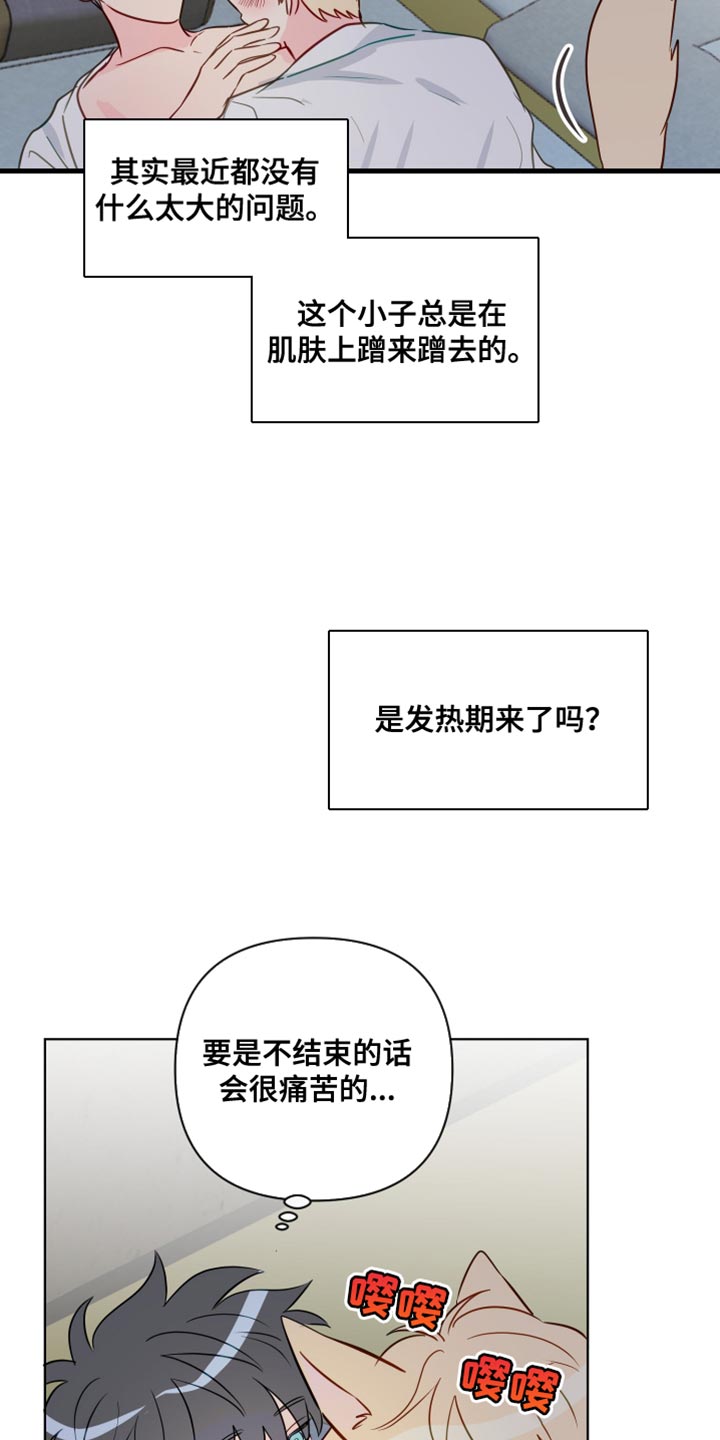 【番外】野性的大狼