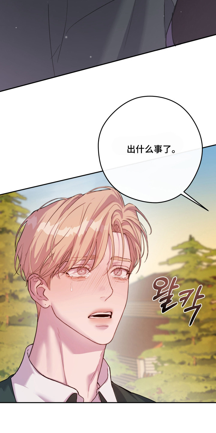 第15话：第15章：喜欢预览分镜