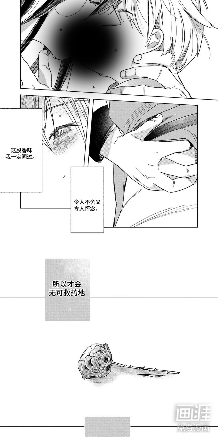 第6话：第6章：浓郁香气预览分镜