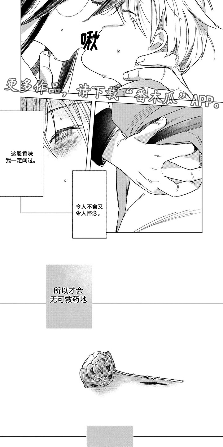第6话：第6章：浓郁香气预览分镜
