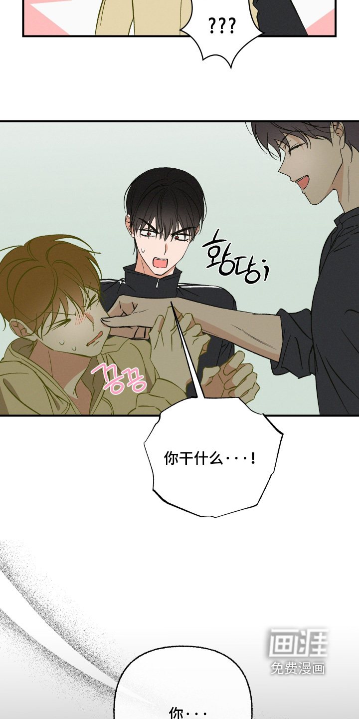 第17话：第17章：他说的是真的预览分镜