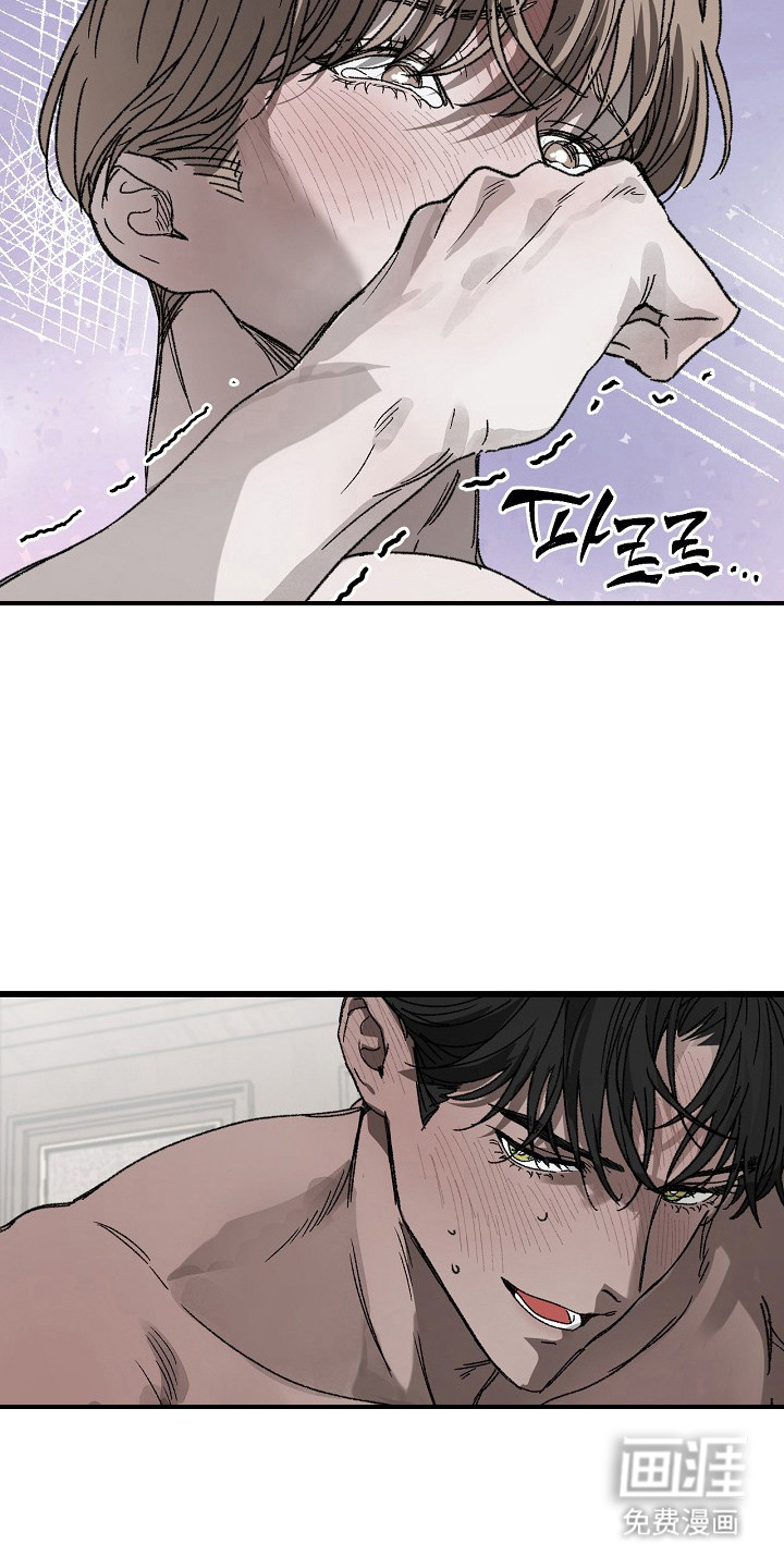 第12话：第12章：喜好预览分镜