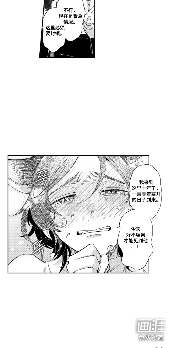 第15话：第15章：差一点预览分镜