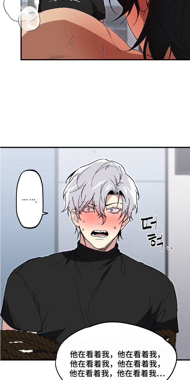 第8话：第8章：底牌预览分镜