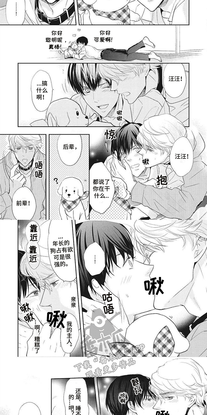第8话：睡不着预览分镜