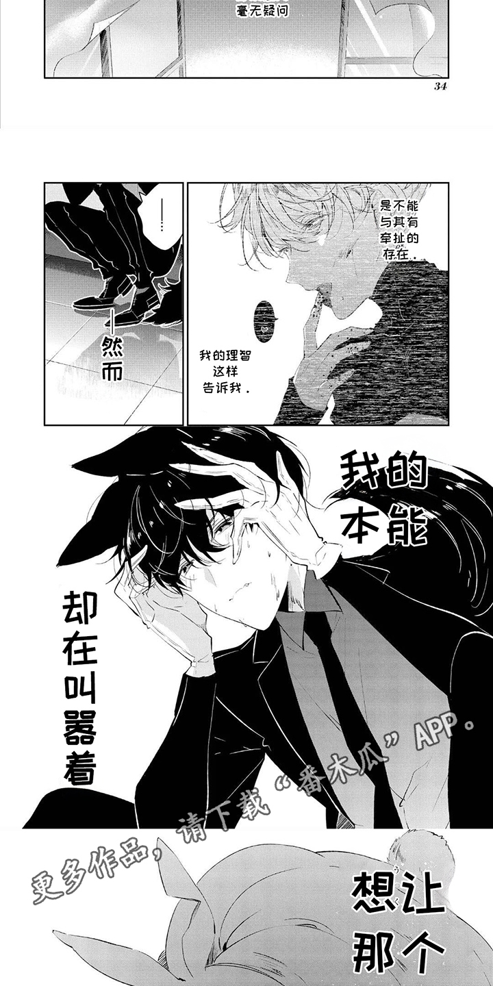 第4话：第4章：怪物兔子预览分镜