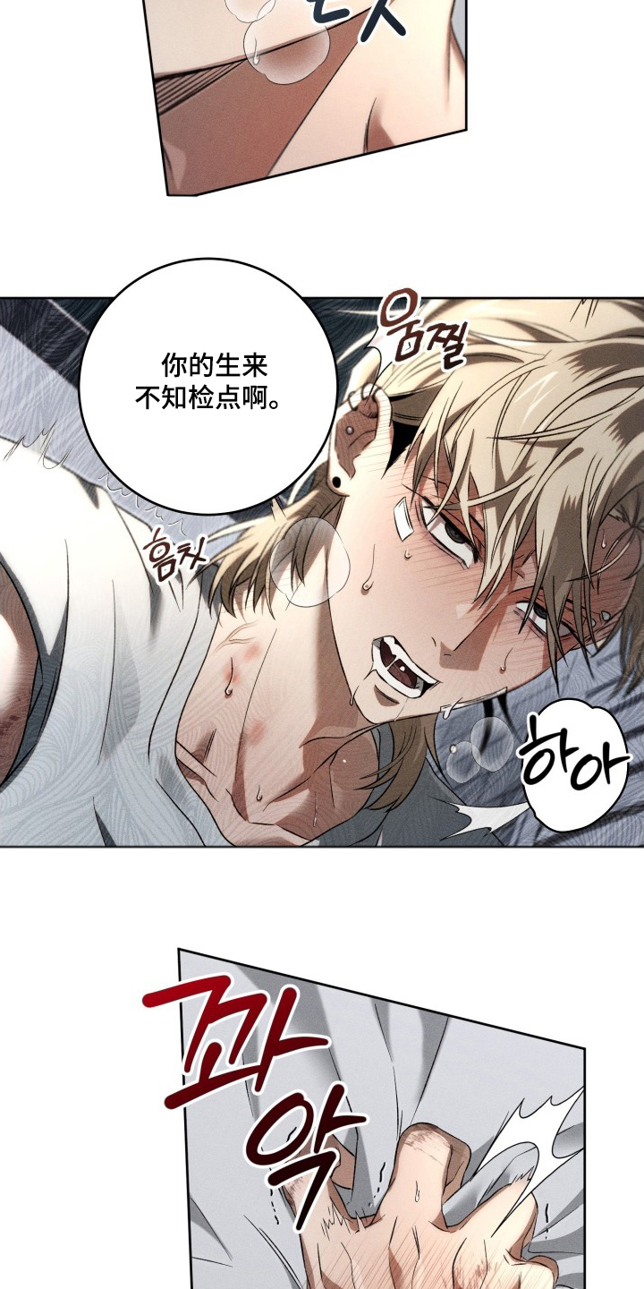 第6话：第6章：相似预览分镜