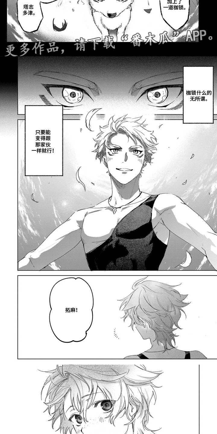 第5话：第5章：共同点预览分镜