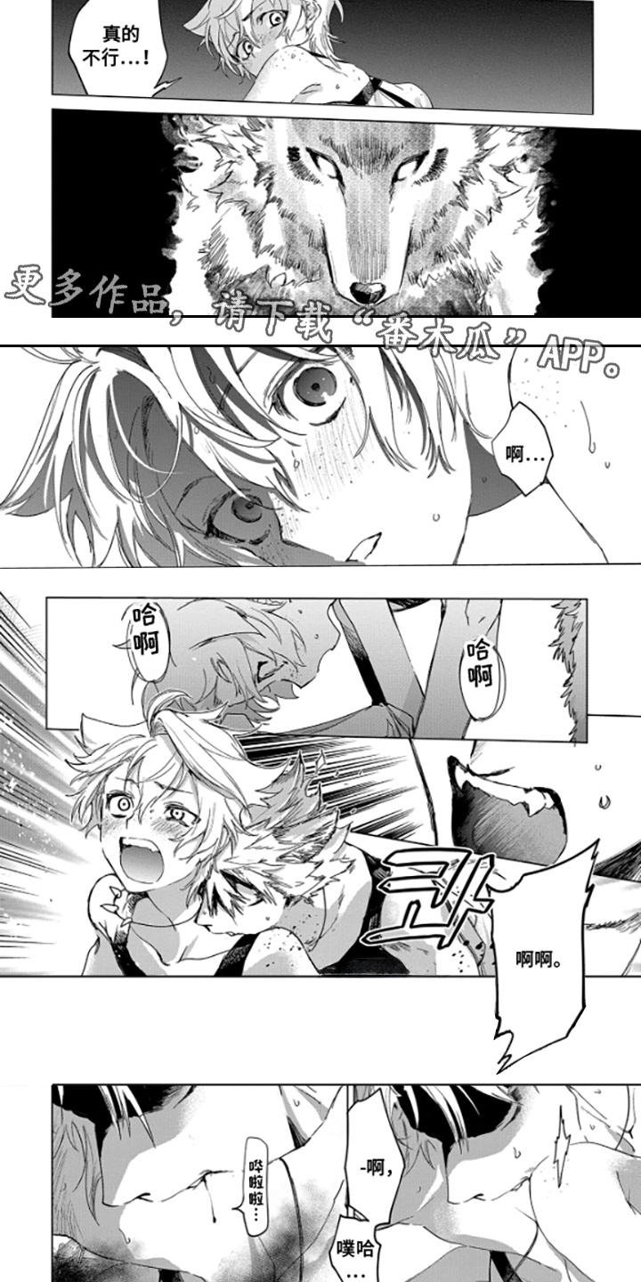 第8话：第8章：两种本能预览分镜