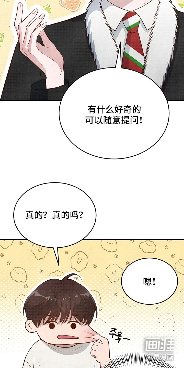 第2话：第2章：精灵预览分镜