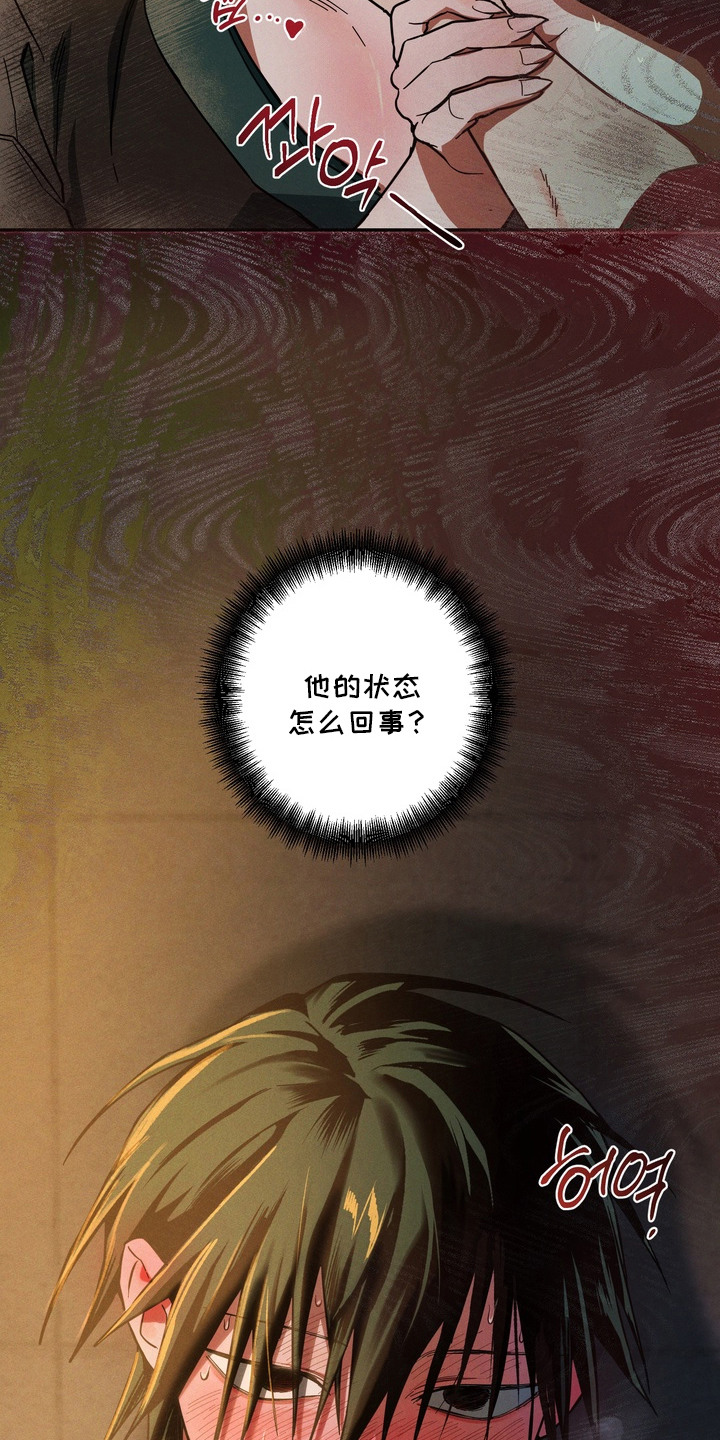 第10话：第10章：突然发狂预览分镜