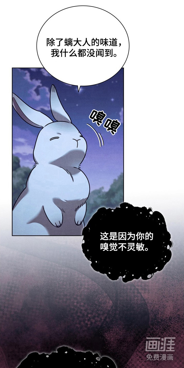 第11话：第11章：难以理解预览分镜