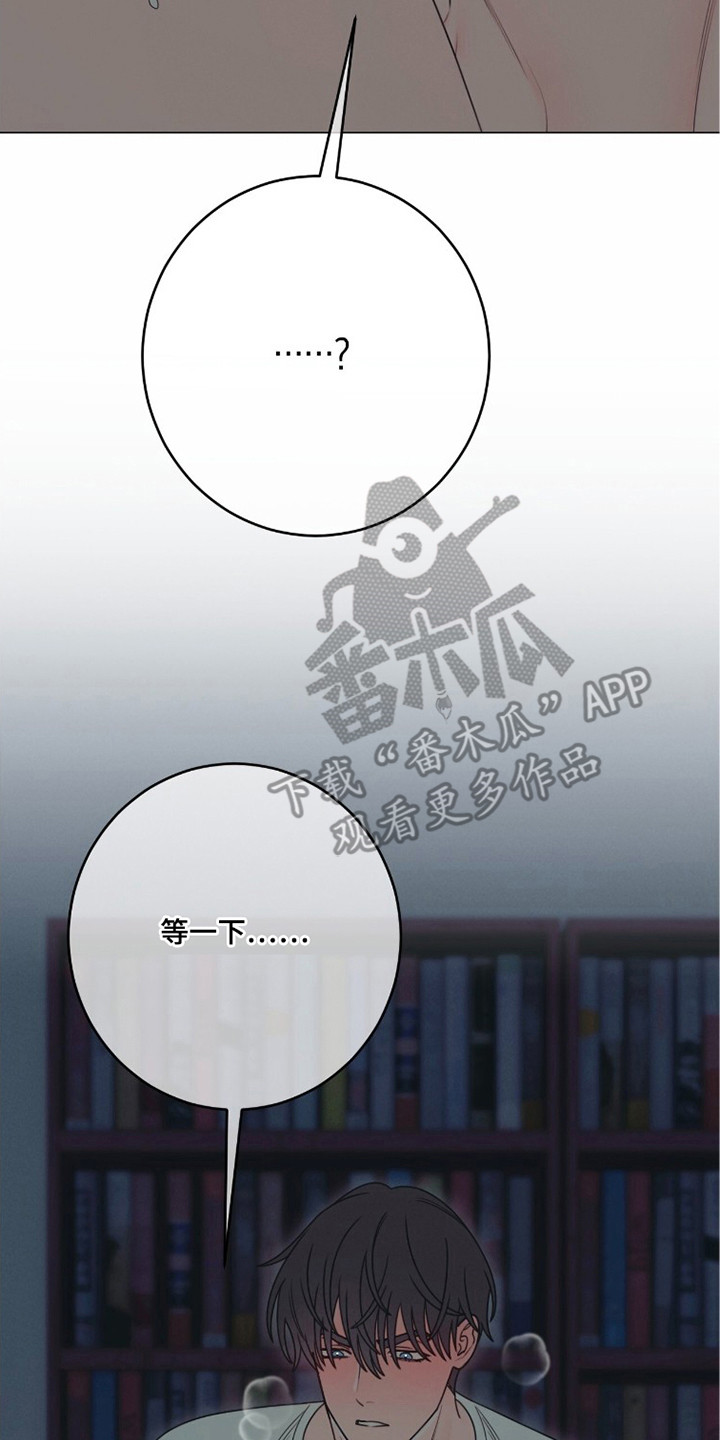 第7话：第7章：被你吸引（完结）预览分镜
