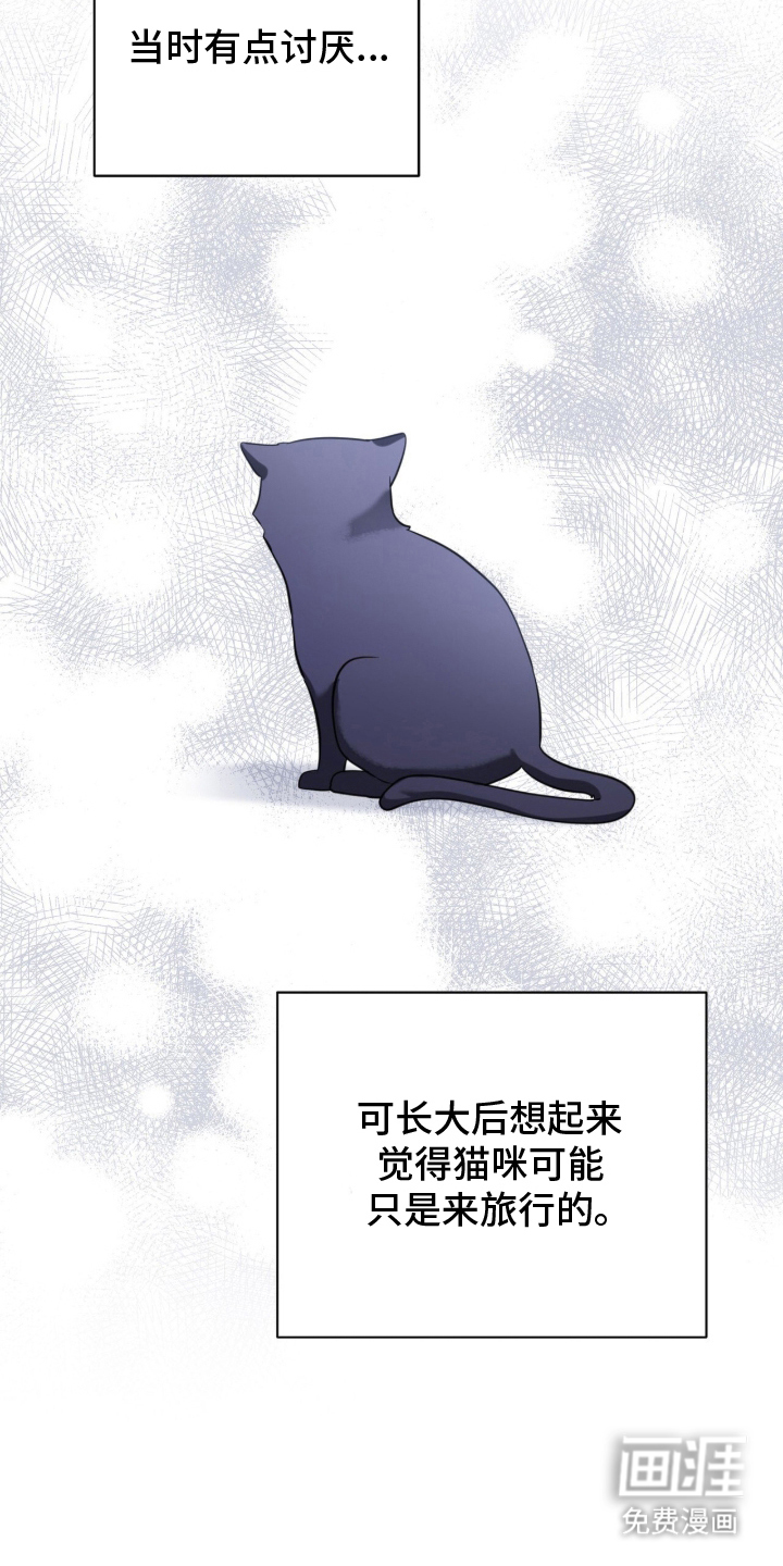 第11话：第11章：流浪狗预览分镜