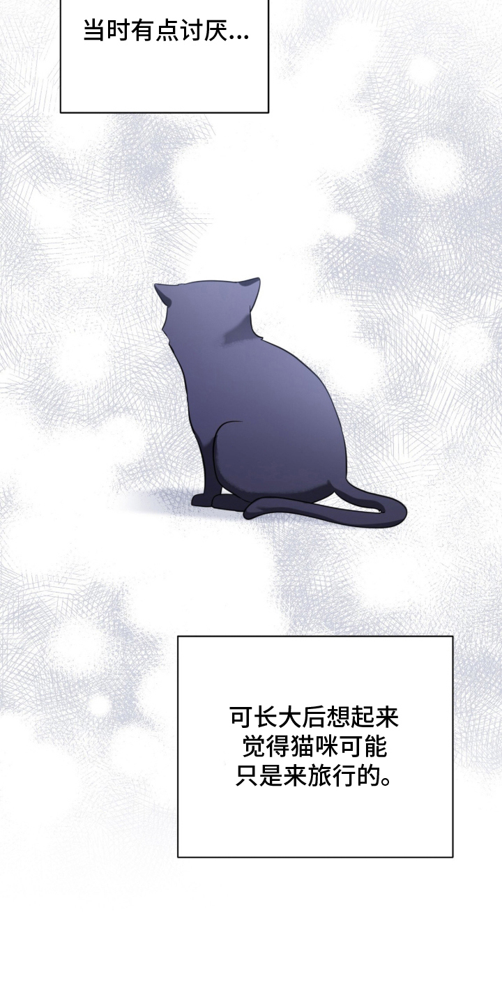 第11话：第11章：流浪狗预览分镜