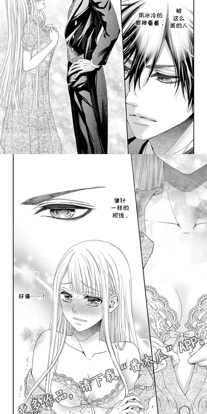 第4话：第4章：盯着看预览分镜