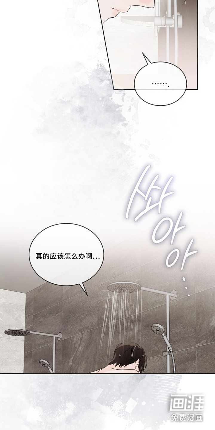 第11话：第11章：可爱的家伙预览分镜