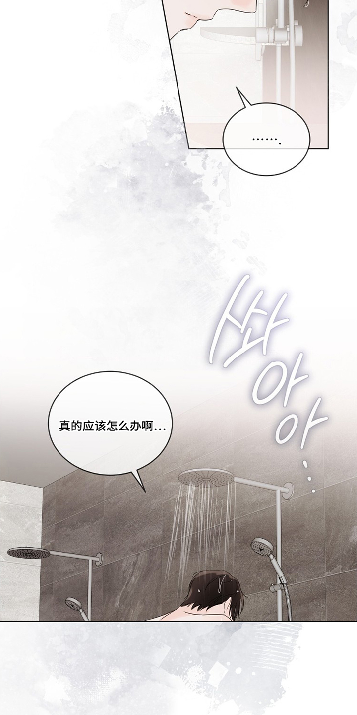 第11话：第11章：可爱的家伙预览分镜