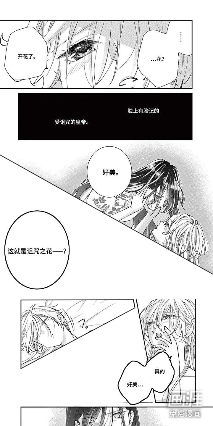 第7话：第7章：诅咒之花预览分镜