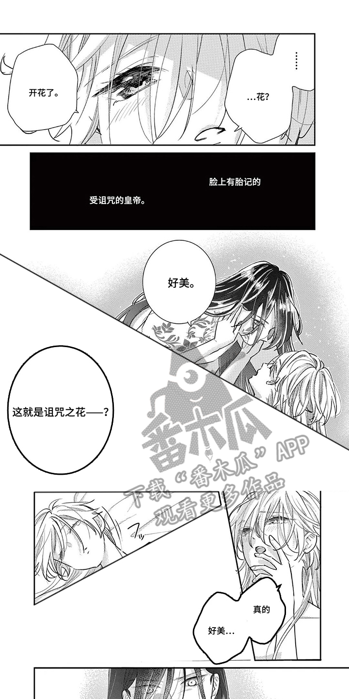 第7话：第7章：诅咒之花预览分镜