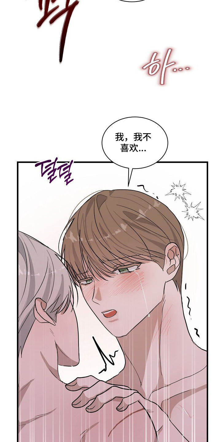 第12话：第12章：黯然离去预览分镜