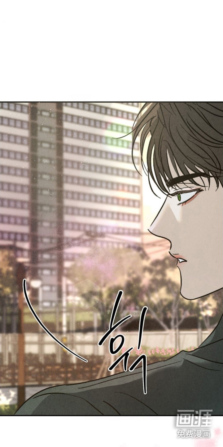第11话：第11章：拽走预览分镜
