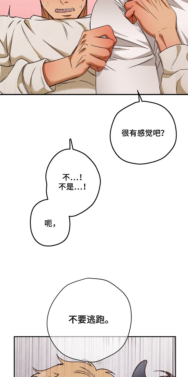 第4话：第4章：乱套了预览分镜