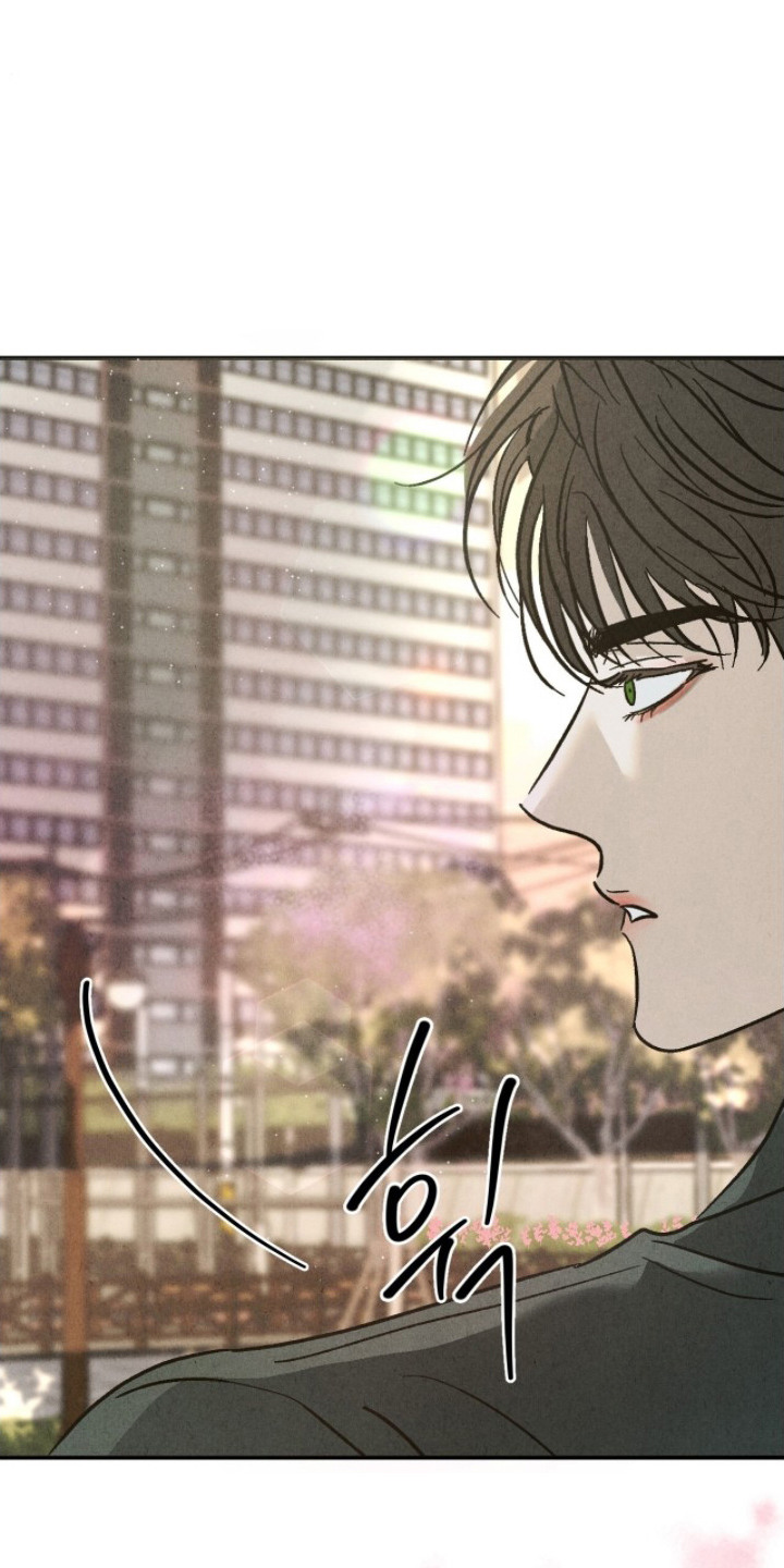 第11话：第11章：拽走预览分镜