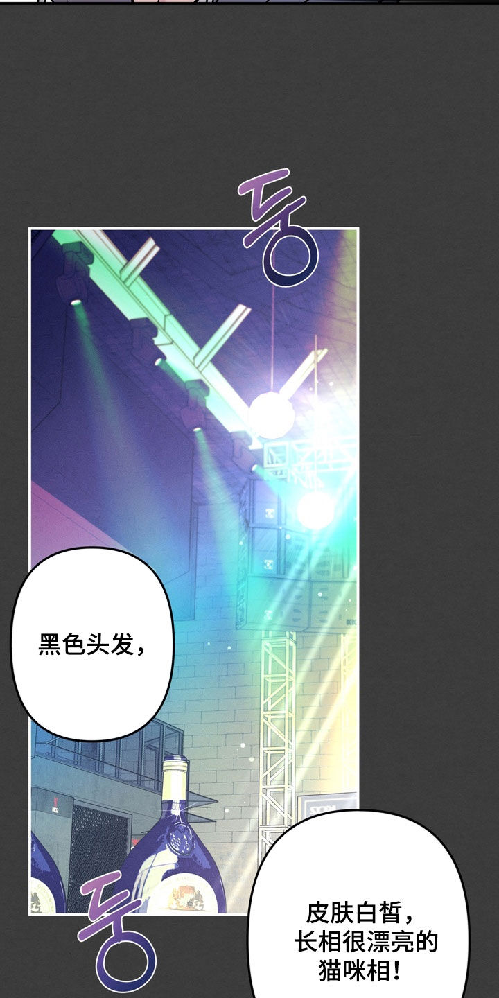 第15话：第15章：确实想见你预览分镜