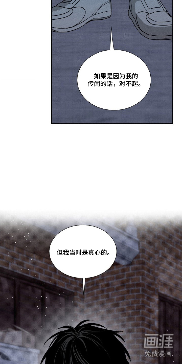 第5话：第5章：一直在一起吗预览分镜
