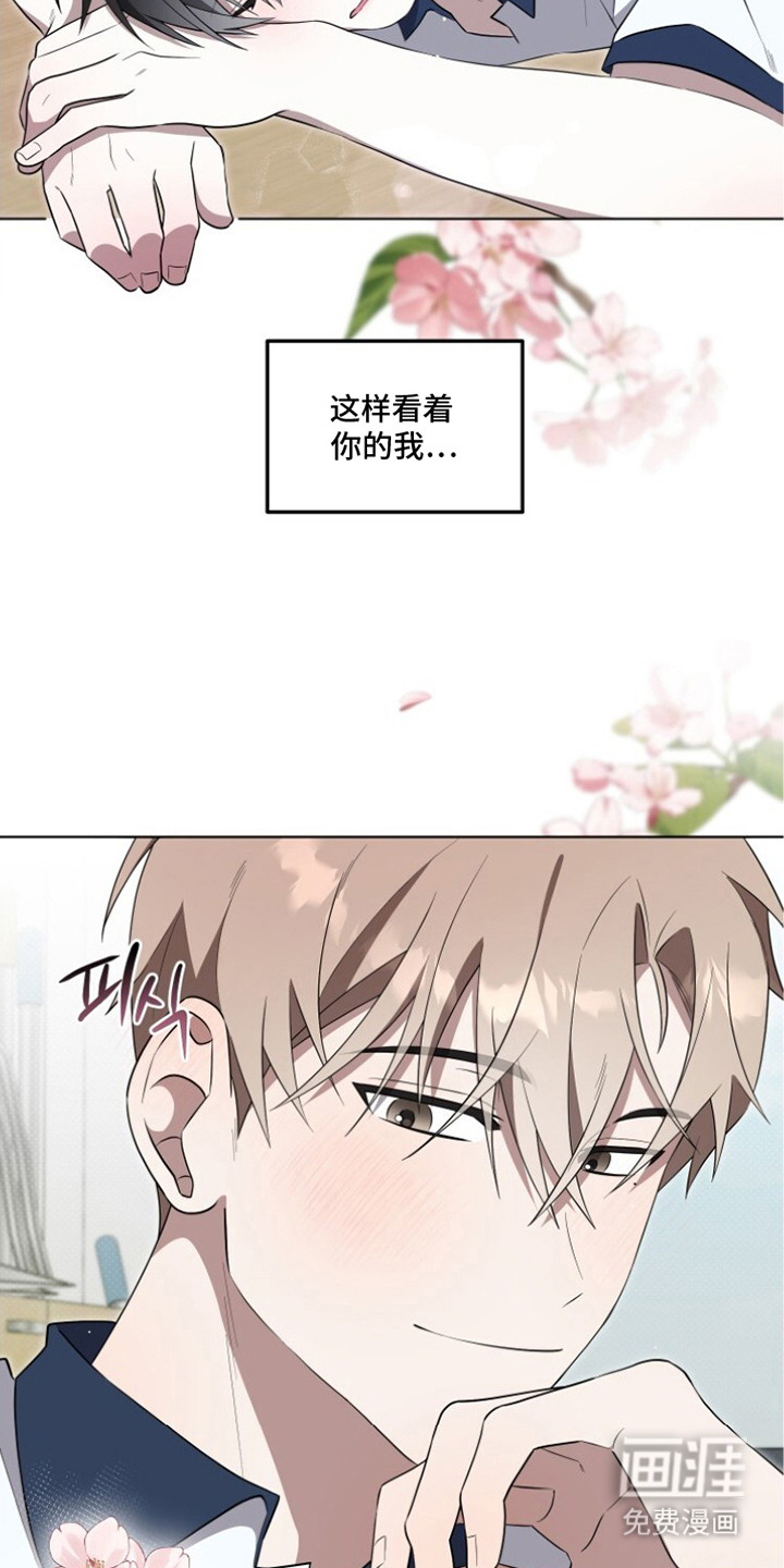 第9话：第9章：心意预览分镜