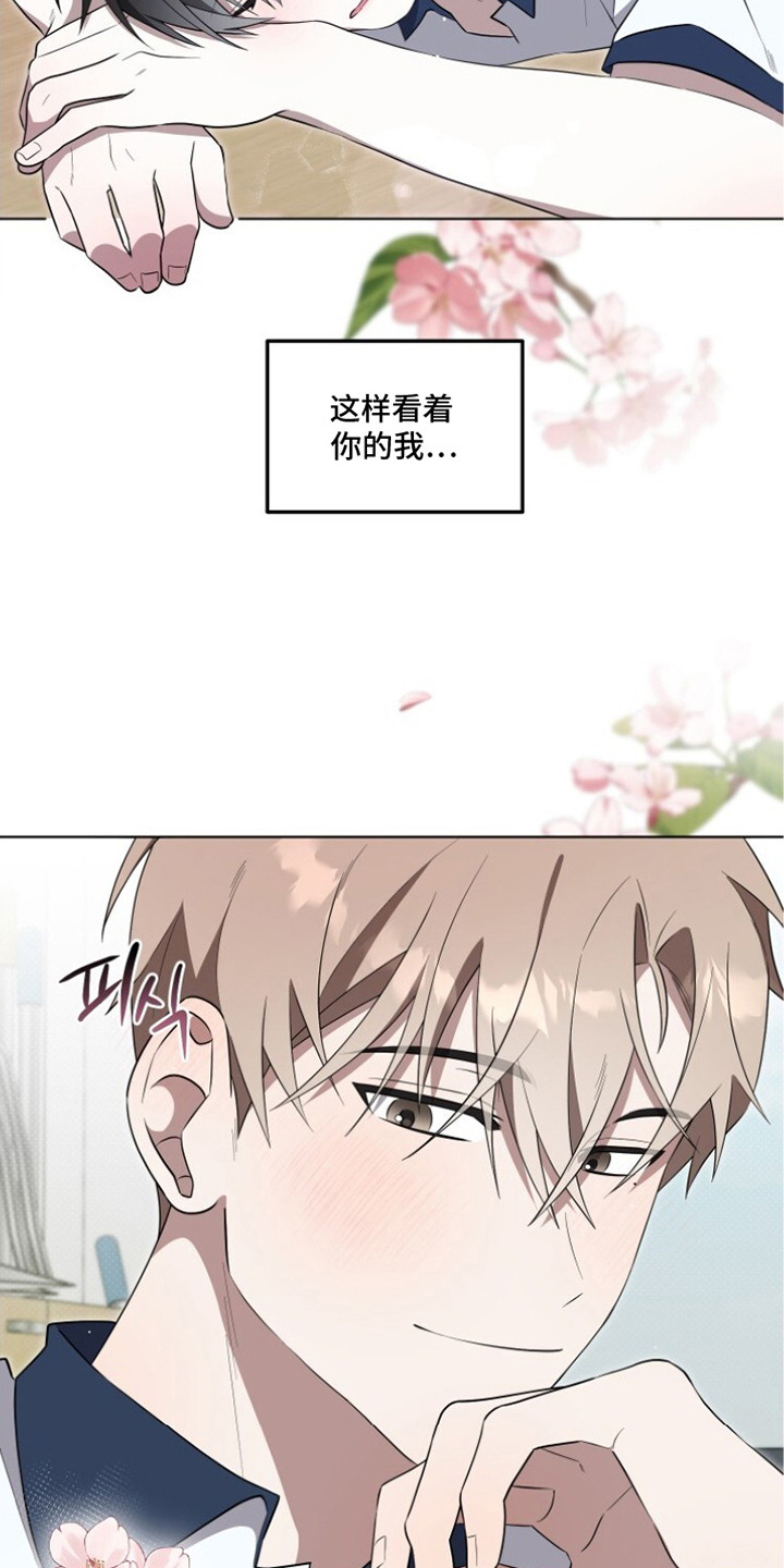 第12话：第12章：心意预览分镜