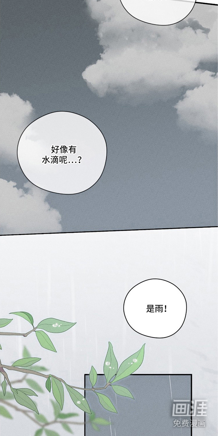 第12话：第12章：下雨了预览分镜