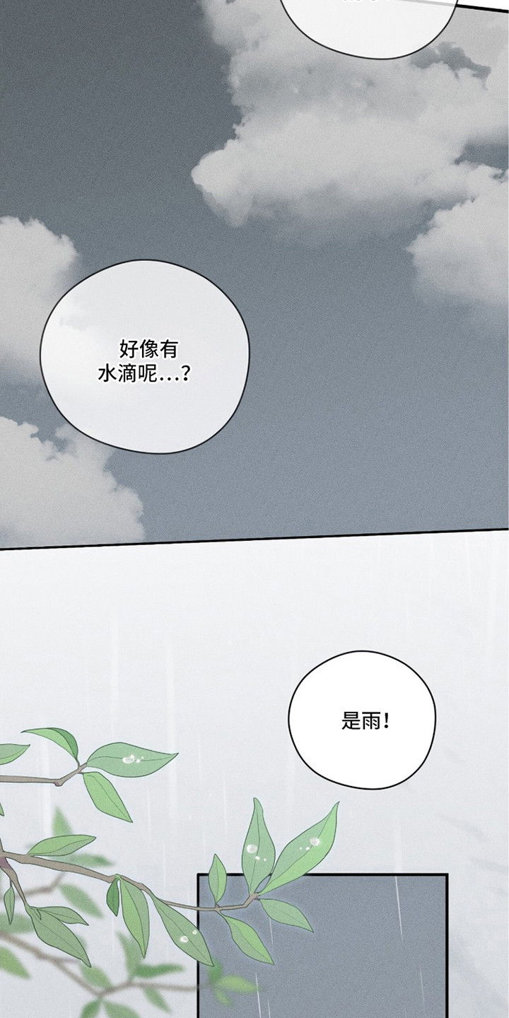 第12话：第12章：下雨了预览分镜