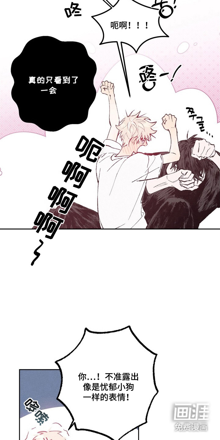 第8话：第8章：开窍预览分镜