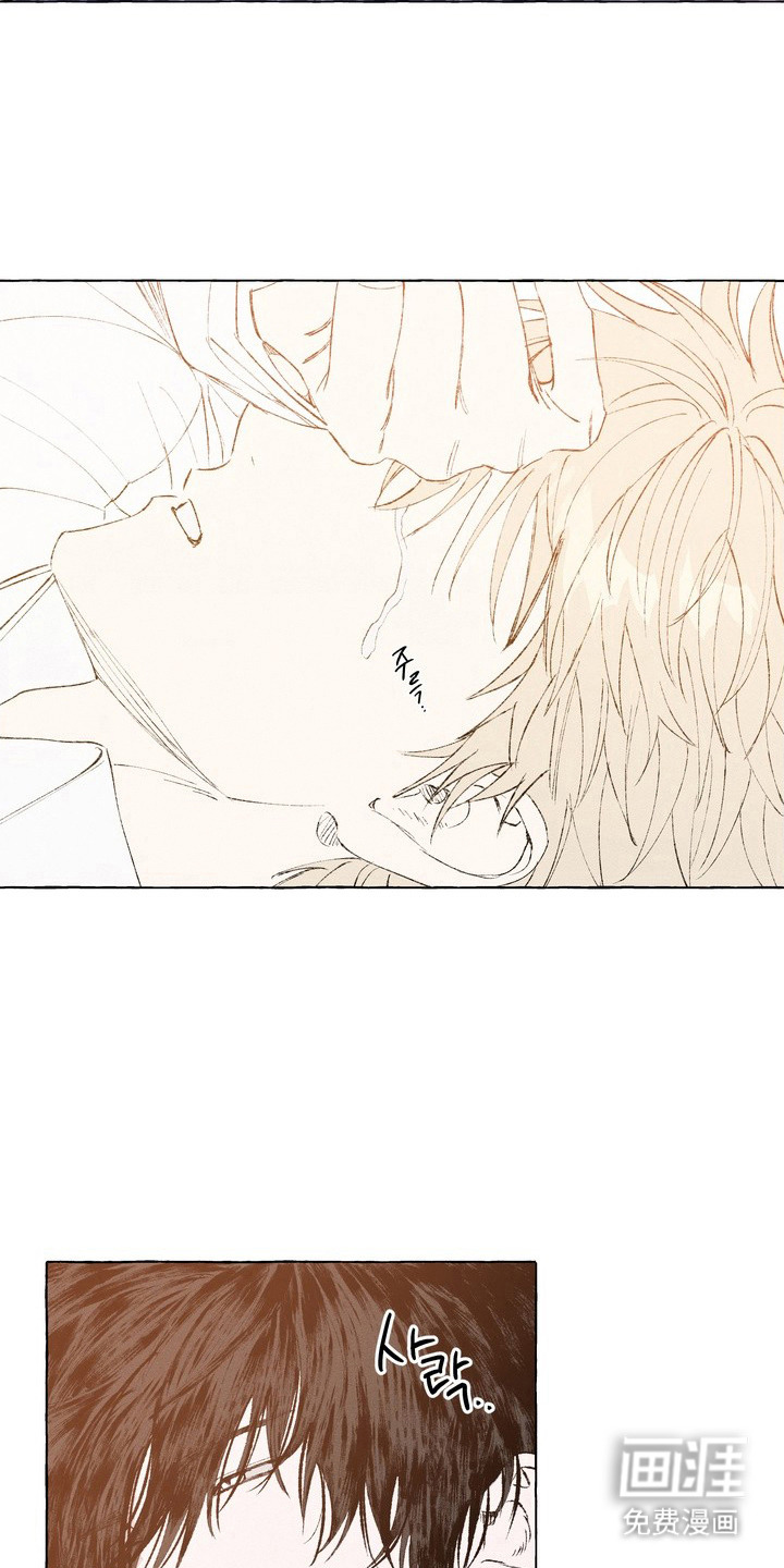 第13话：第13章：印在脑海预览分镜