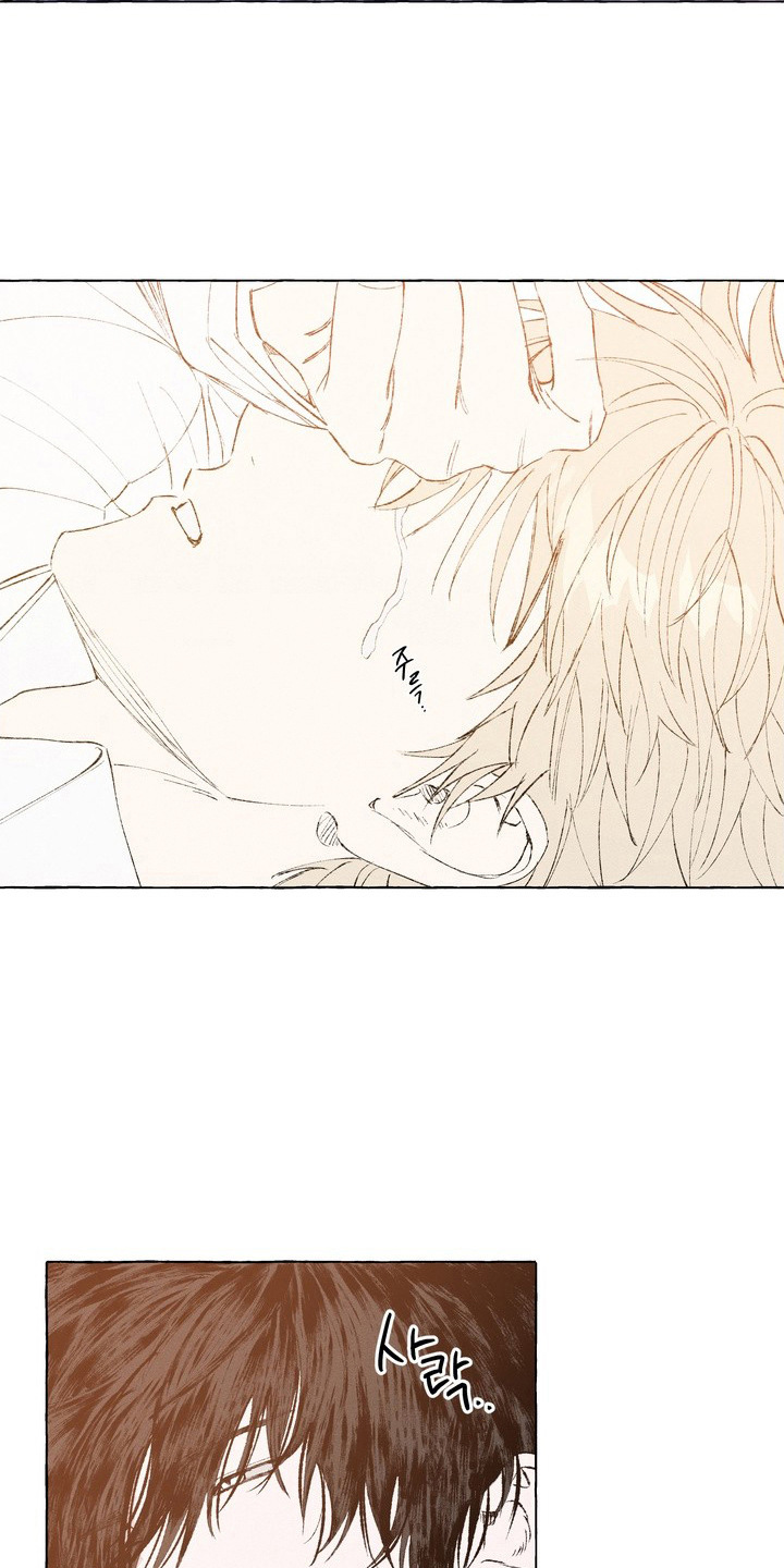 第15话：第15章：印在脑海预览分镜